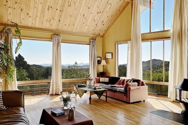 sunroom with a mountain view, vaulted ceiling, and a healthy amount of sunlight