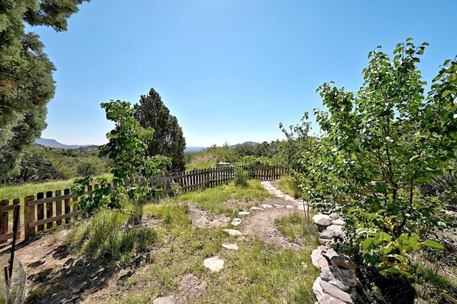 view of yard featuring a rural view