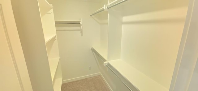 walk in closet featuring light colored carpet