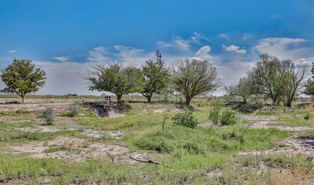 view of local wilderness with a rural view