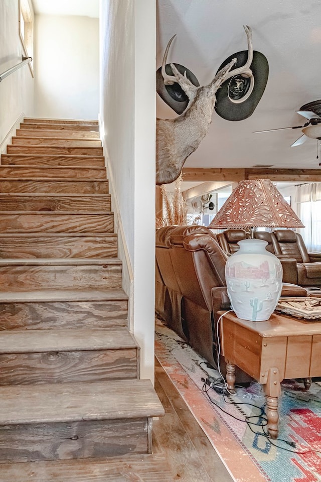 stairway with hardwood / wood-style floors and ceiling fan