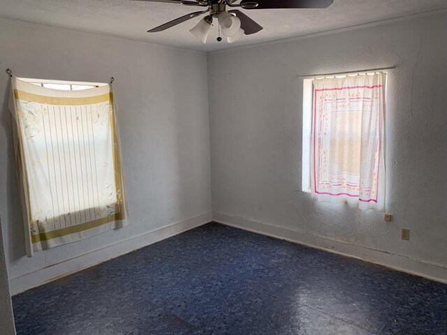 bedroom featuring multiple windows and light hardwood / wood-style flooring