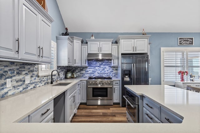 kitchen with lofted ceiling, sink, tasteful backsplash, appliances with stainless steel finishes, and dark hardwood / wood-style flooring