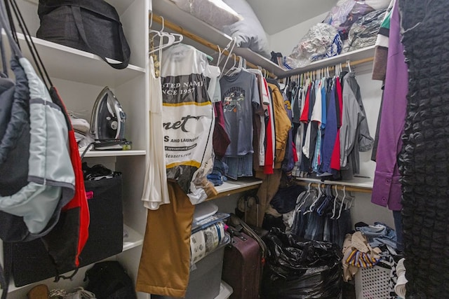 view of walk in closet