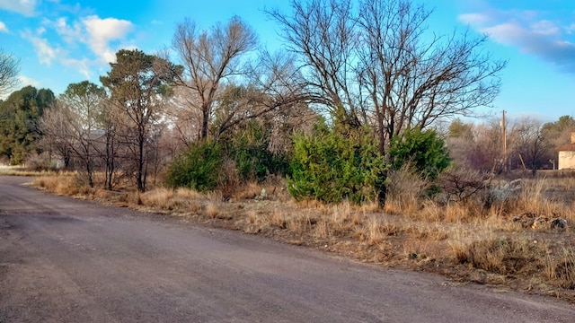 Listing photo 3 for 203 Buckeye, Fort Davis TX 79734