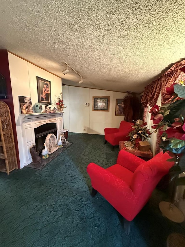 carpeted living room with a textured ceiling and track lighting