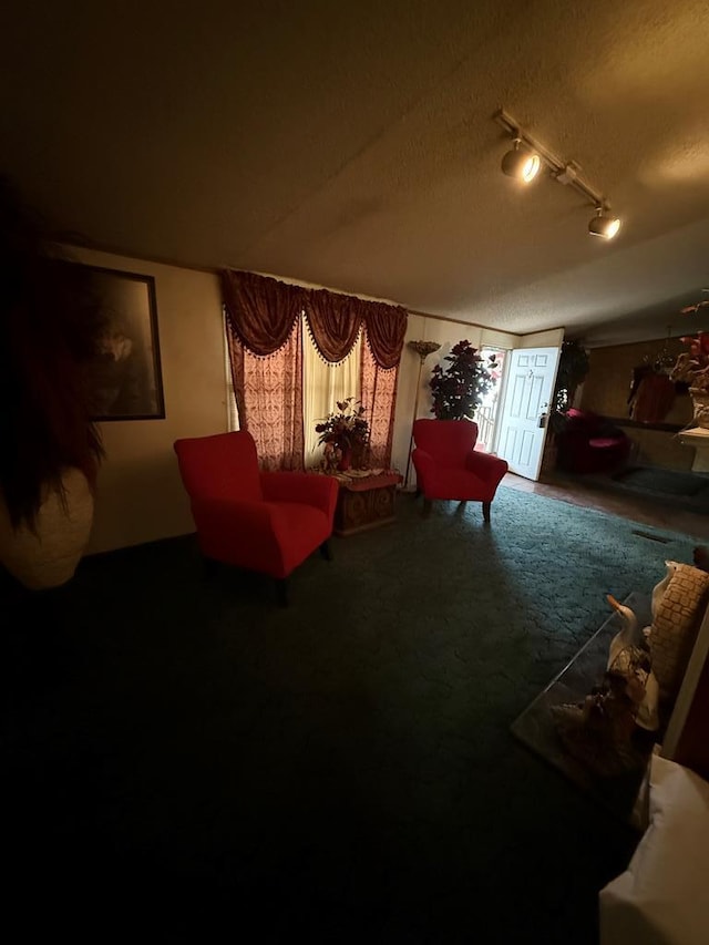 living room with carpet floors, a textured ceiling, and track lighting