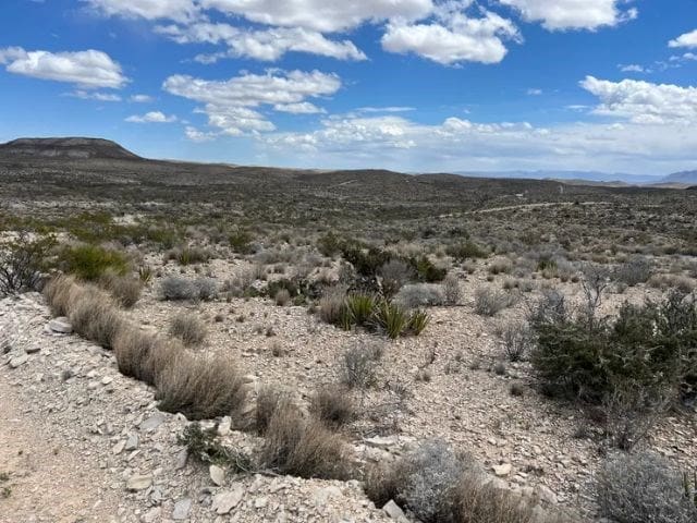 Listing photo 3 for 21231 Slate Spgs, Terlingua TX 79852