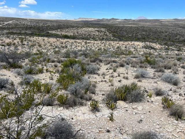 21231 Slate Spgs, Terlingua TX, 79852 land for sale