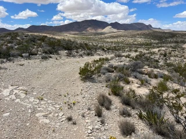 Listing photo 2 for 21231 Slate Spgs, Terlingua TX 79852