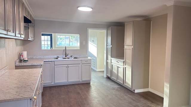 kitchen featuring dark wood-type flooring, ornamental molding, sink, and white cabinets