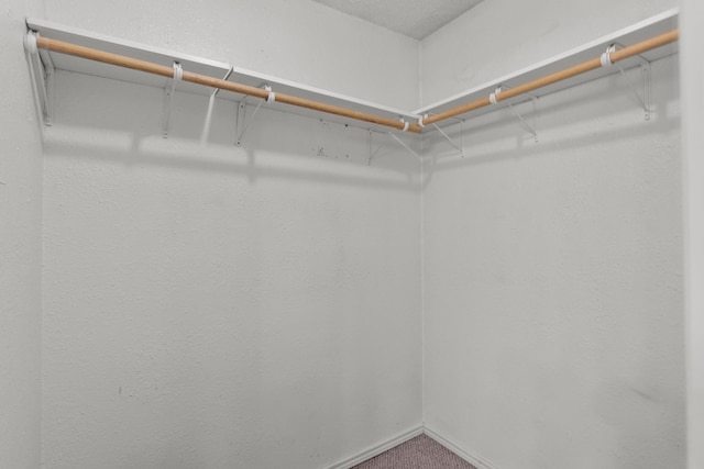 walk in closet featuring carpet flooring