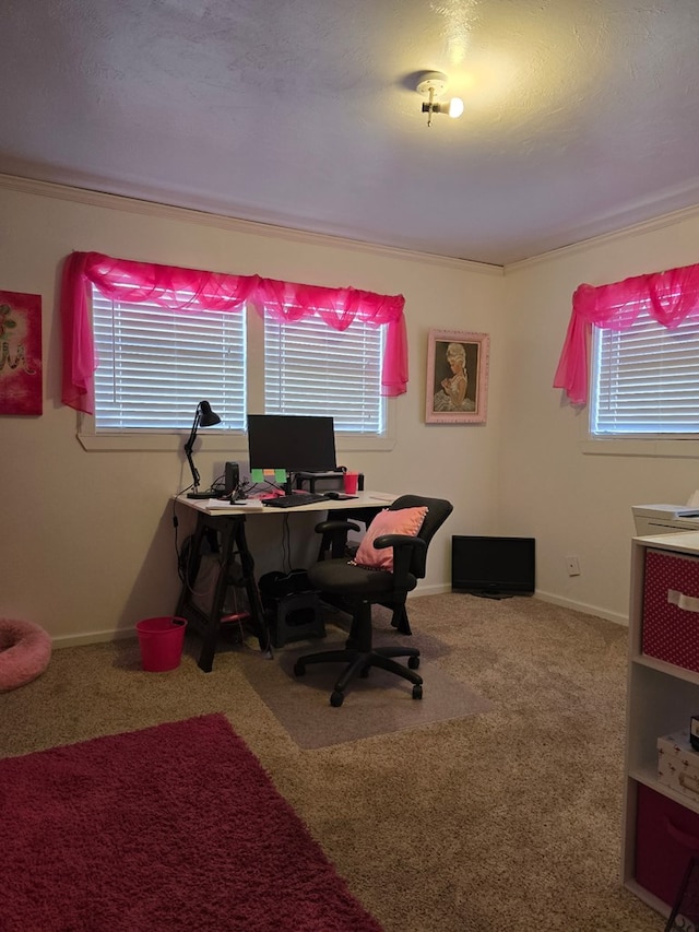 carpeted office featuring plenty of natural light and baseboards