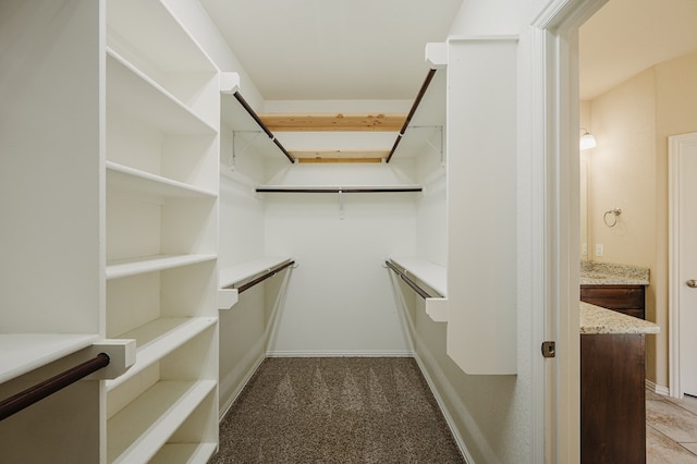 walk in closet featuring carpet floors