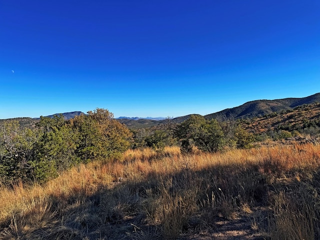 view of mountain feature