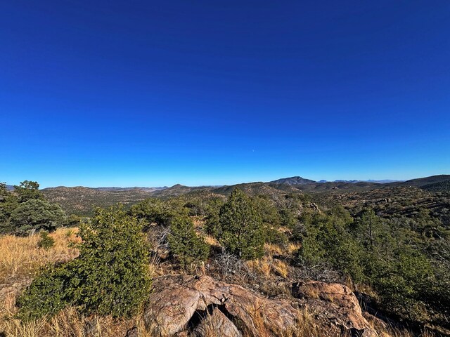 view of mountain feature