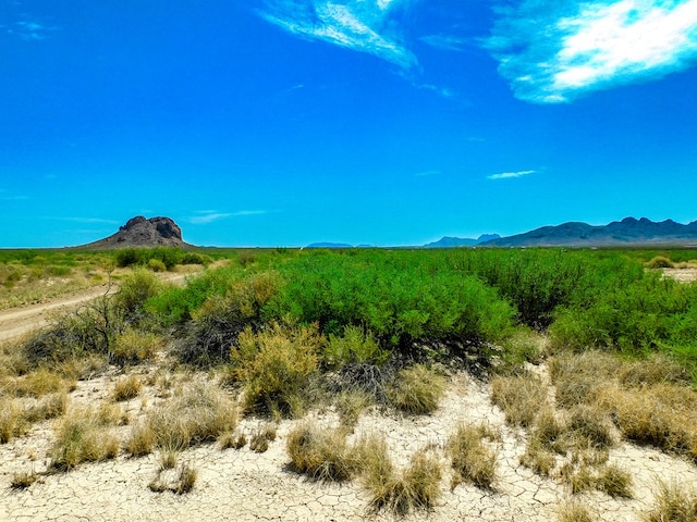 Listing photo 2 for 17070 Ruby Dr, Terlingua TX 79852