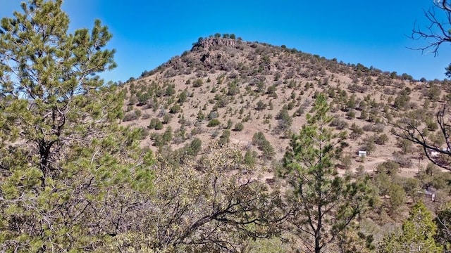 215 Squaw Valley Trl, Fort Davis TX, 79734 land for sale