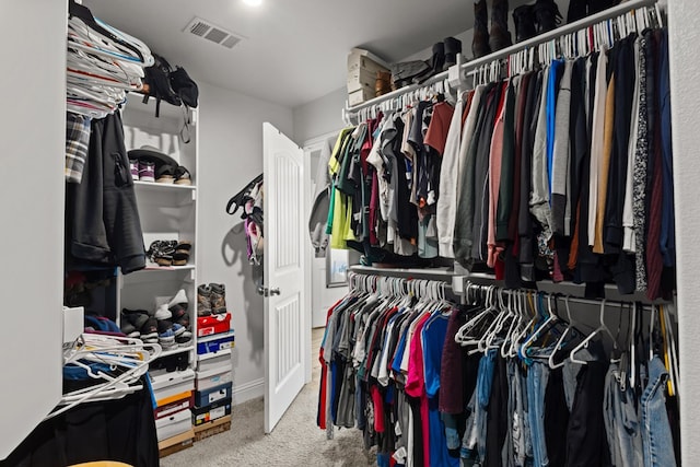 spacious closet with carpet