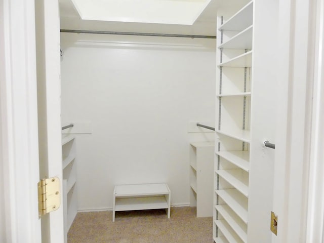 spacious closet featuring carpet flooring