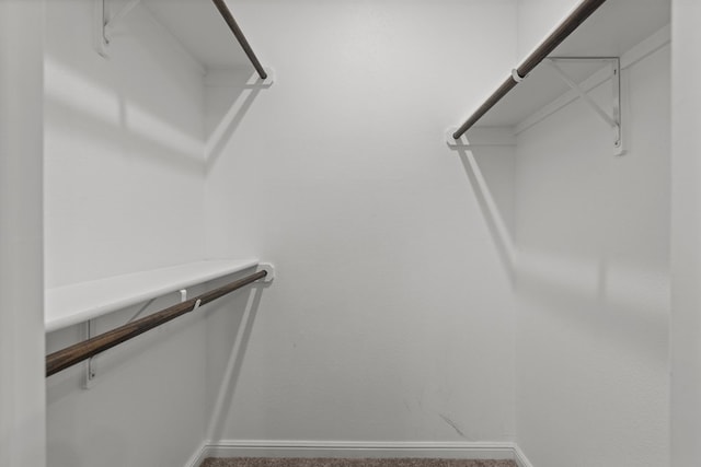 walk in closet featuring carpet flooring