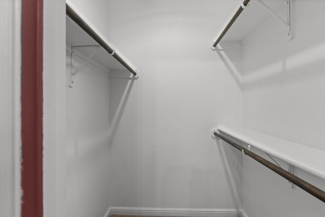 view of walk in closet