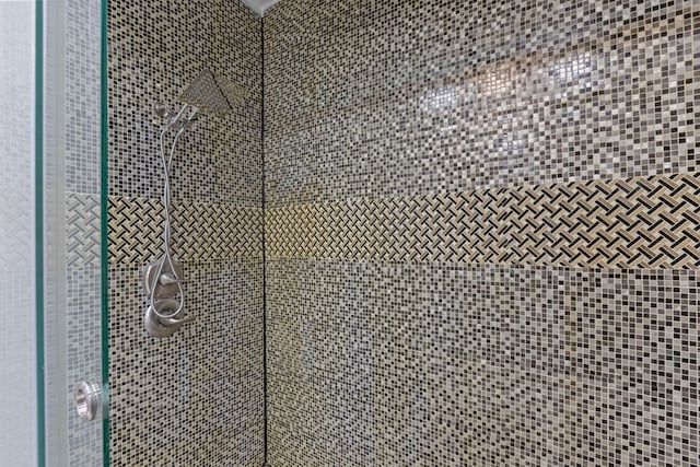 room details with tiled shower