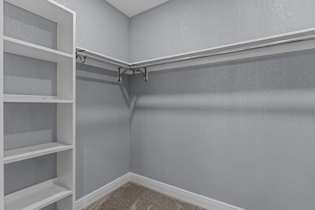 walk in closet featuring carpet floors