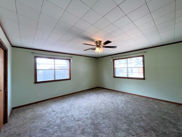 carpeted spare room featuring crown molding and ceiling fan