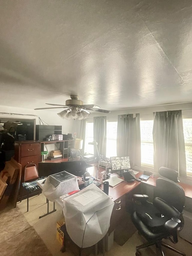 interior space featuring carpet flooring, ceiling fan, and a textured ceiling