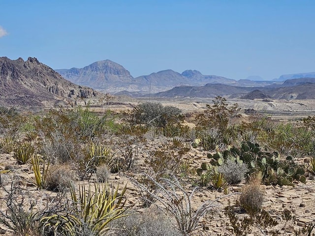 450 Saw Mill Rd, Terlingua TX, 79852 land for sale