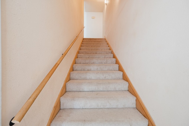 staircase with carpet flooring