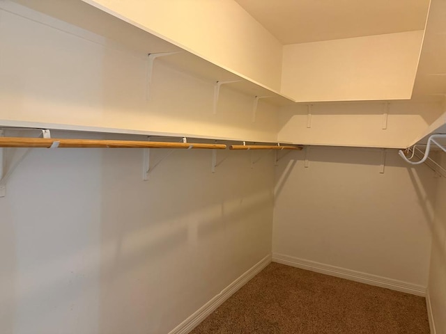 spacious closet featuring carpet