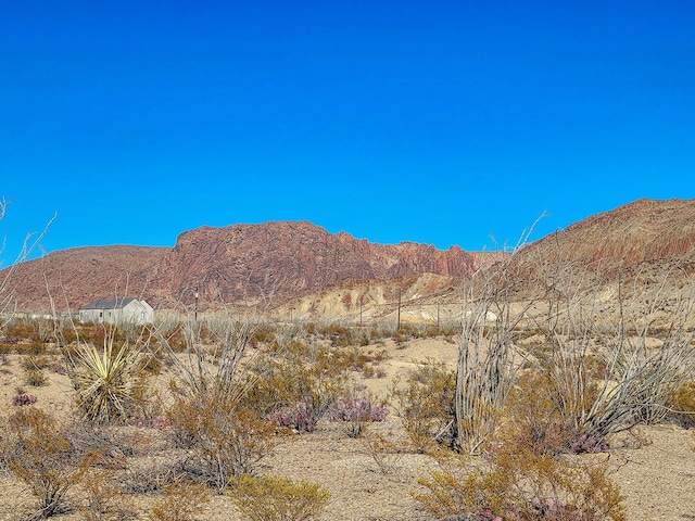 Listing photo 3 for 53396 State Highway 118 S, Terlingua TX 79852