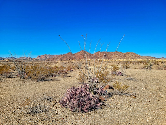 Listing photo 2 for 53396 State Highway 118 S, Terlingua TX 79852