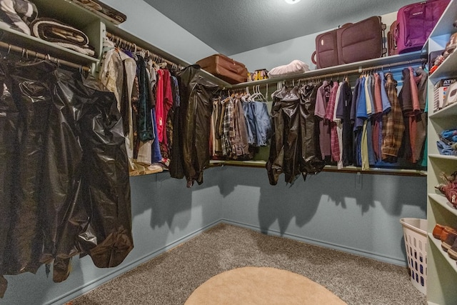 spacious closet featuring carpet flooring