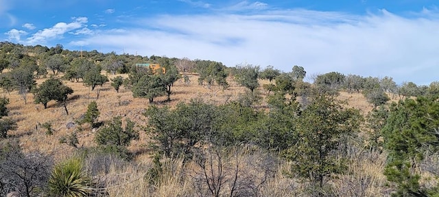 view of nature featuring a rural view