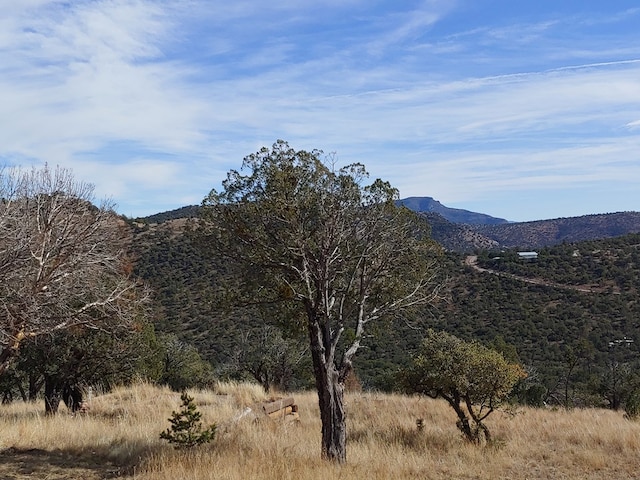 view of mountain feature