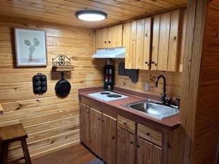 kitchen featuring wood walls, wooden ceiling, sink, and dark wood-type flooring