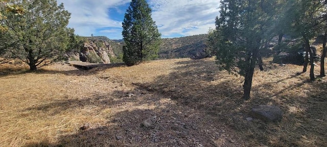 view of local wilderness featuring a mountain view