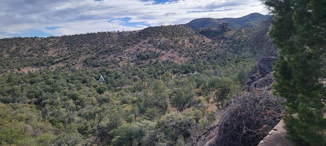 property view of mountains