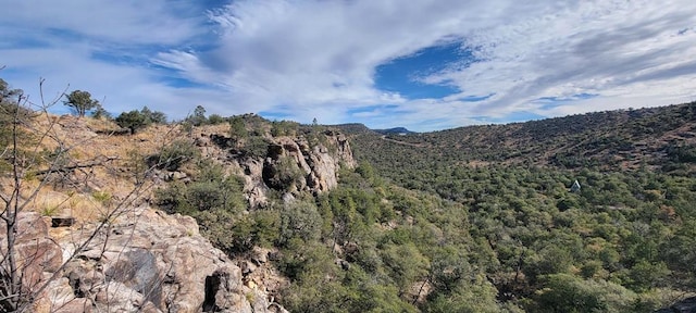 property view of mountains