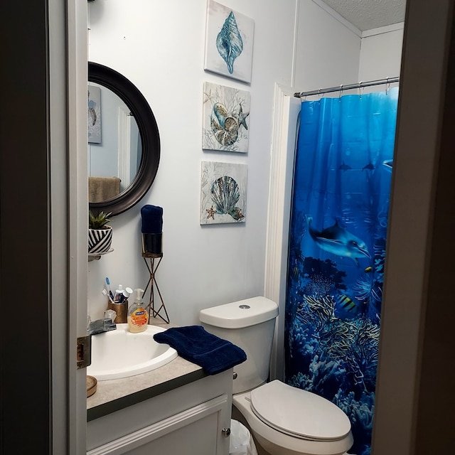 bathroom featuring vanity, a textured ceiling, and toilet