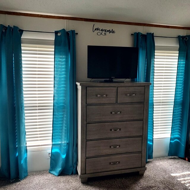 carpeted bedroom with ornamental molding