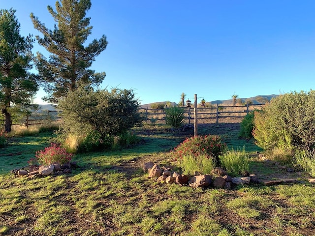 view of yard with a rural view