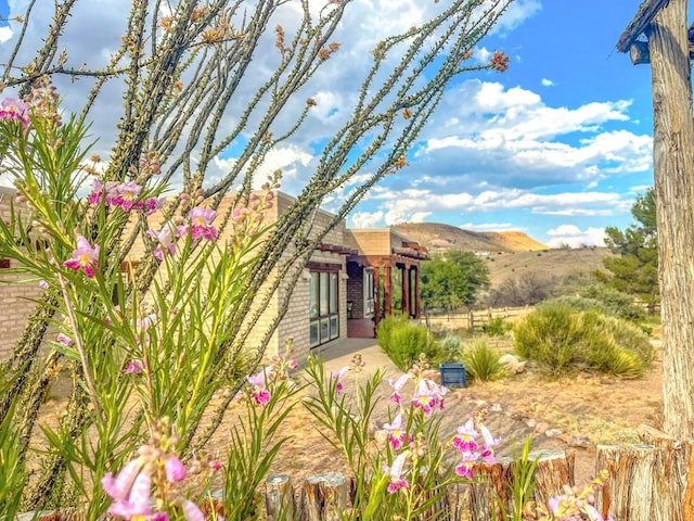 view of yard featuring a mountain view and a patio area