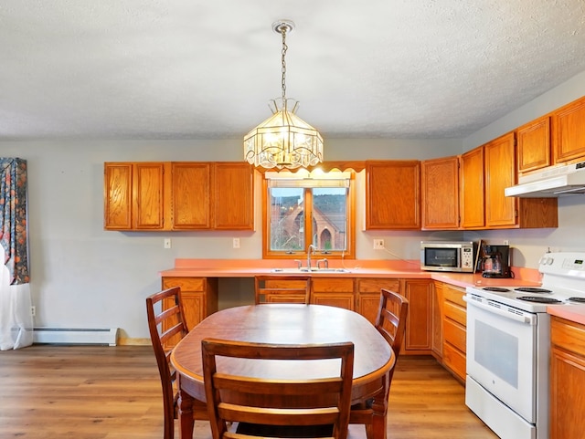 702/704 S Wilbur Ave, Sayre, PA 18840 - kitchen with electric stove, under cabinet range hood, a sink, a baseboard heating unit, and stainless steel microwave