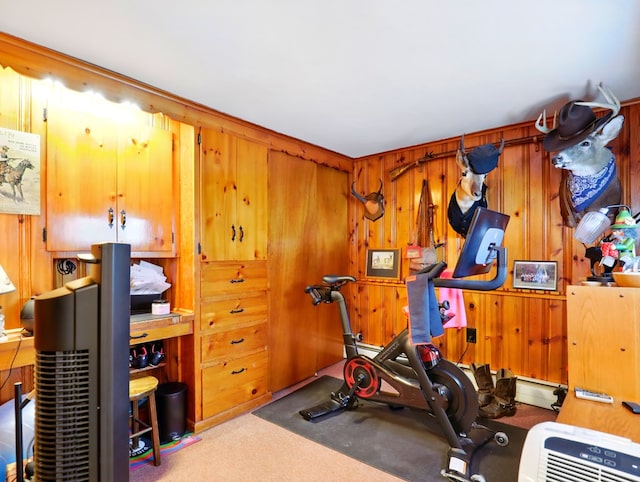 702/704 S Wilbur Ave, Sayre, PA 18840 - exercise room with carpet floors and wood walls