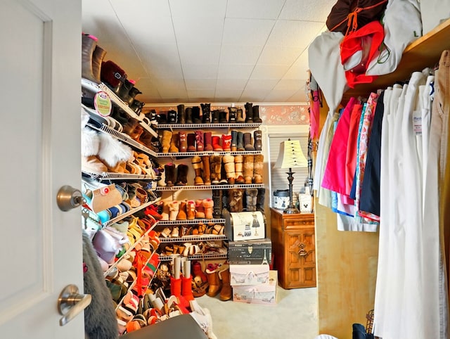 702/704 S Wilbur Ave, Sayre, PA 18840 - walk in closet featuring carpet floors
