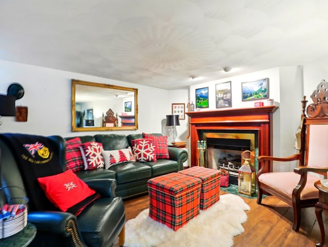 702/704 S Wilbur Ave, Sayre, PA 18840 - living room with a fireplace with flush hearth and wood finished floors